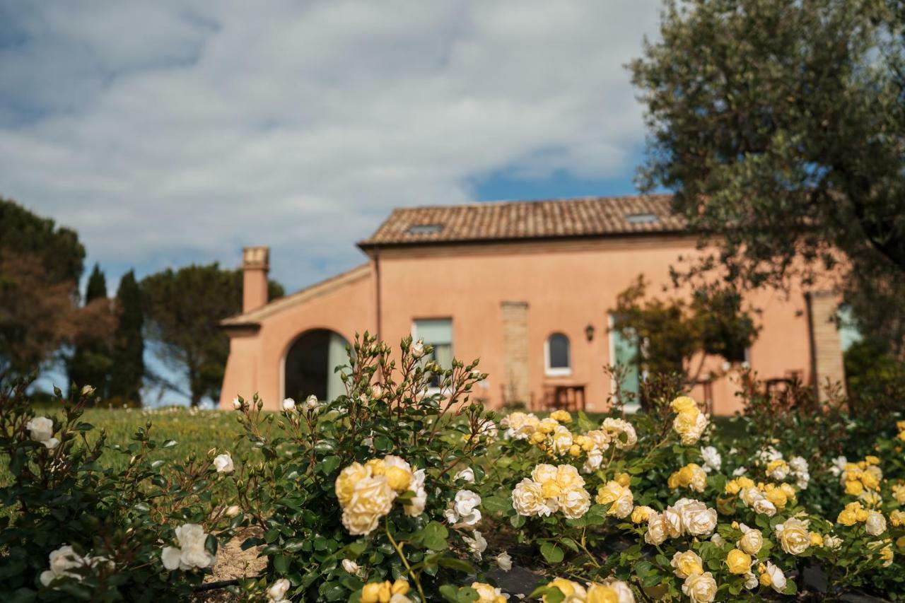 تْشيفيتانوفا ماركي Nontiscordardime B&B Villa Agriturismo المظهر الخارجي الصورة